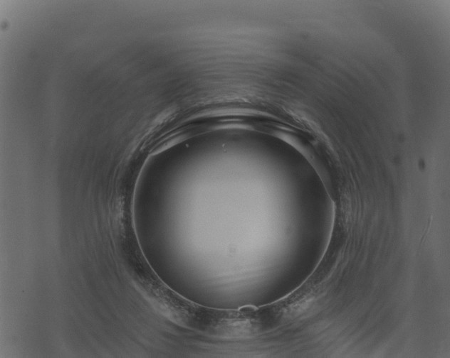 X0000073930260200608181122