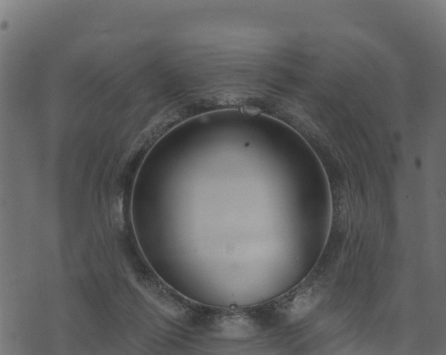 X0000073930262200608181122