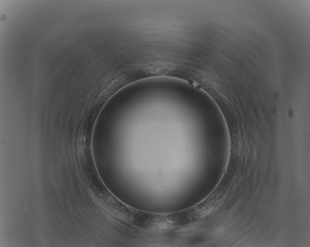 X0000073930263200608181122