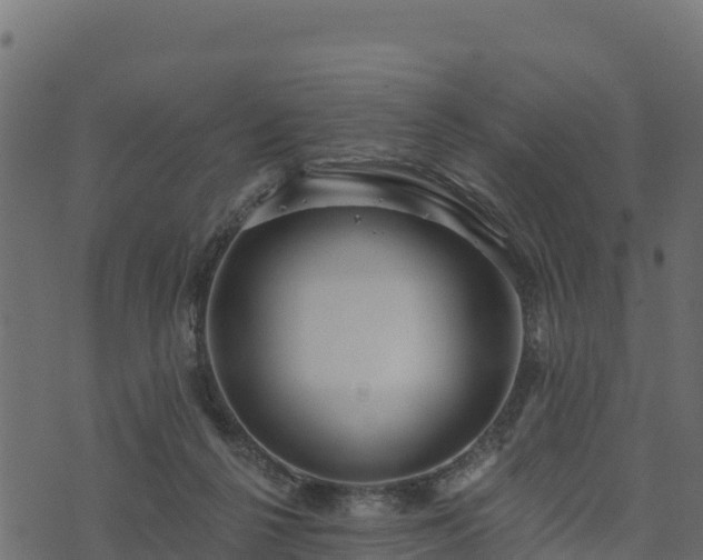 X0000073930264200608181122