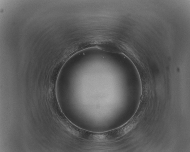 X0000073930265200608181122