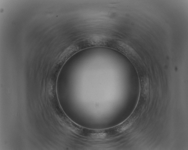 X0000073930266200608181122