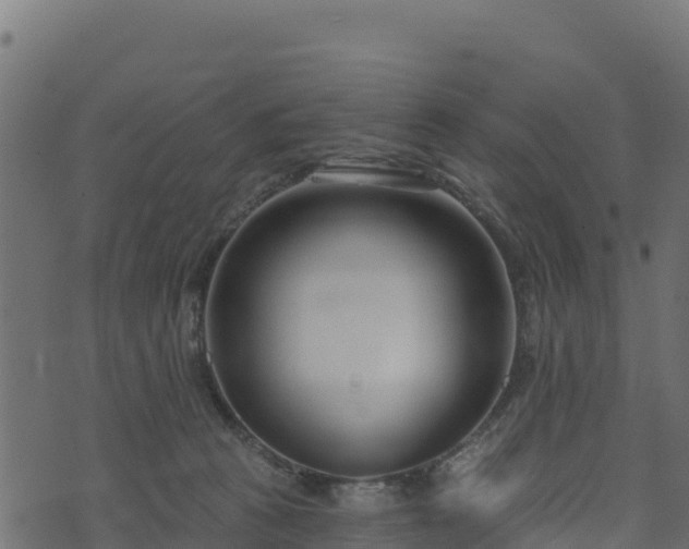 X0000073930273200608181122