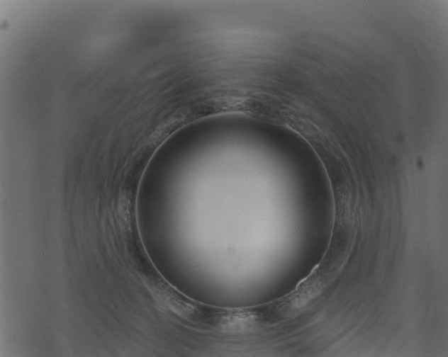 X0000073930274200608181122