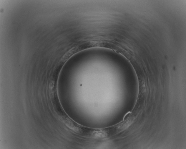 X0000073930275200608181122