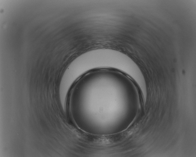 X0000073930276200608181122