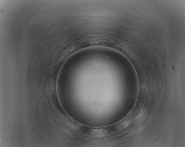 X0000073930277200608181122