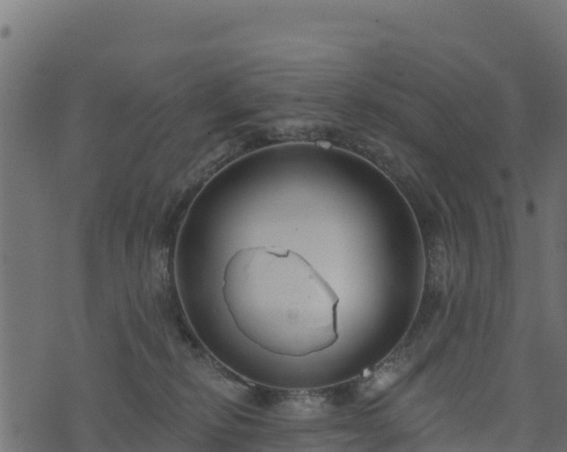 X0000073930278200608181122