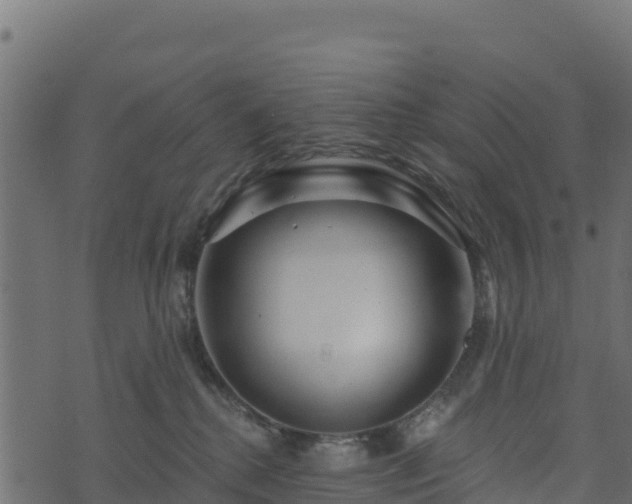 X0000073930280200608181122