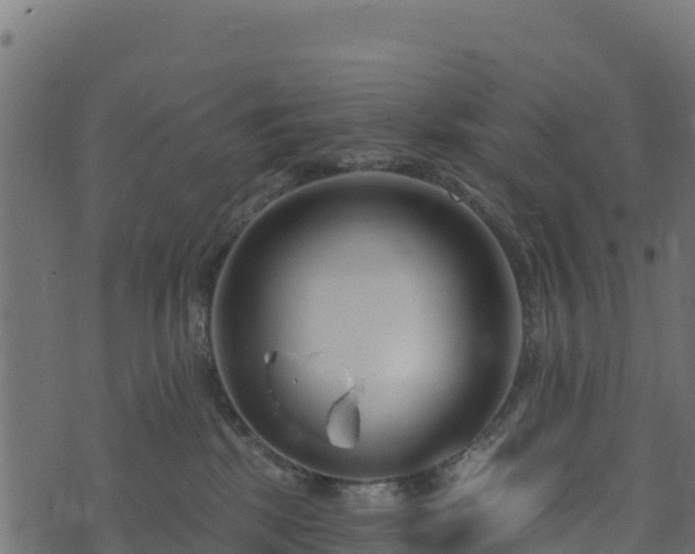 X0000073930281200608181122