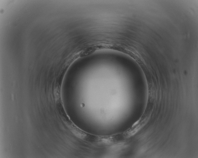 X0000073930285200608181122