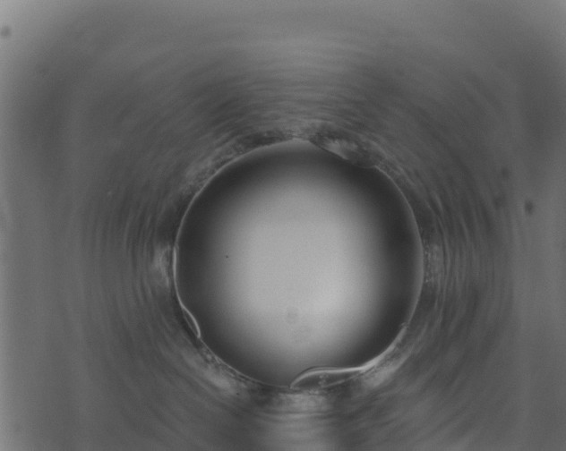 X0000073930286200608181122