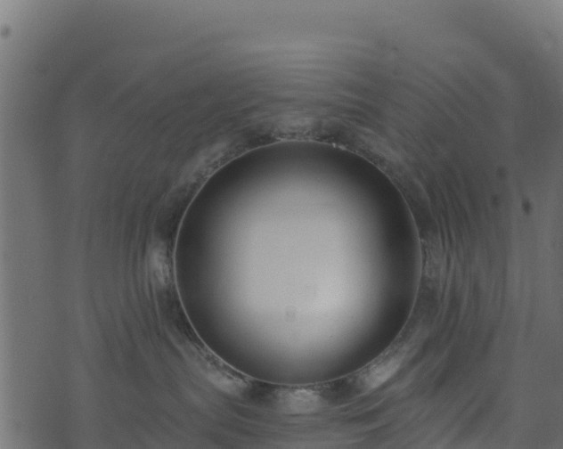 X0000073930287200608181122