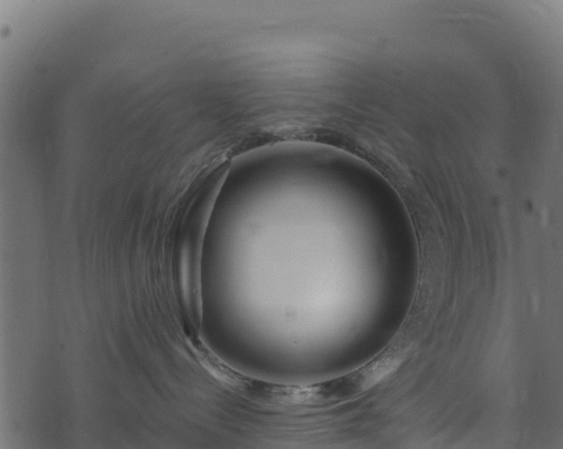 X0000073930288200608181122