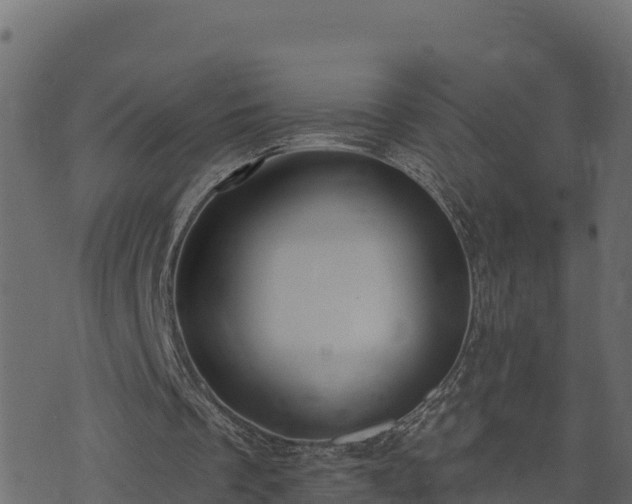 X0000073930289200608181121