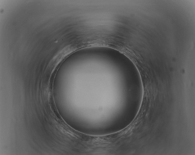 X0000073930290200608181121