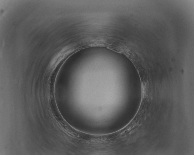 X0000073930291200608181121