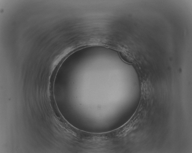 X0000073930292200608181121