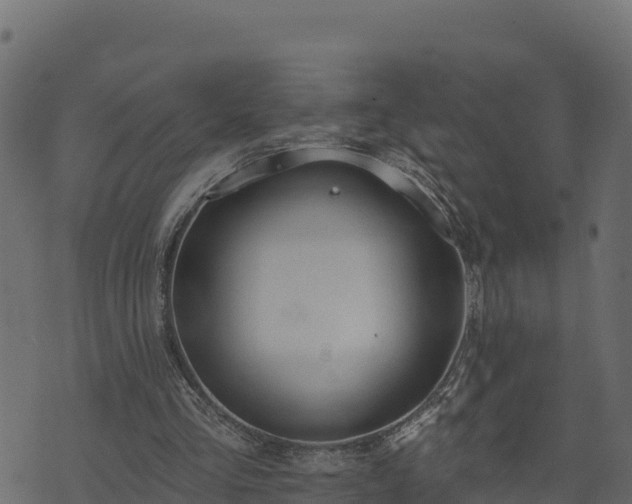 X0000073930293200608181121