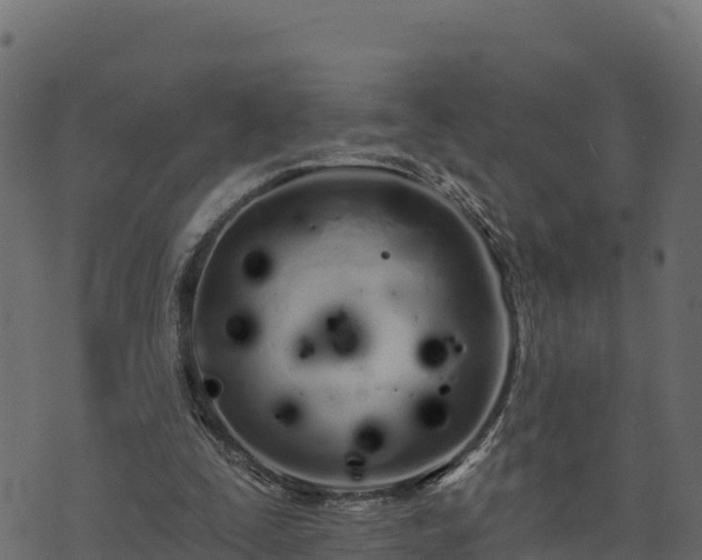 X0000073930295200608181121