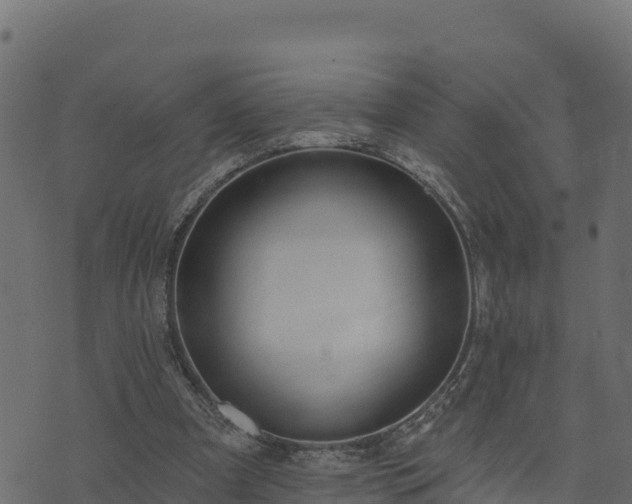 X0000073930297200608181121