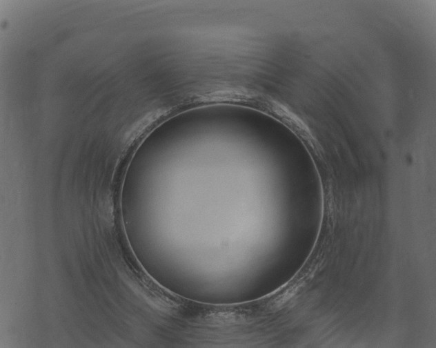 X0000073930298200608181121