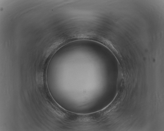 X0000073930299200608181121