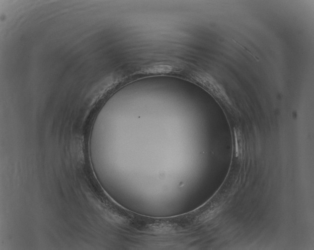 X0000073930300200608181121