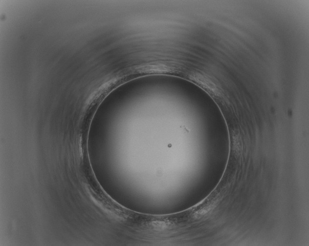 X0000073930302200608181121