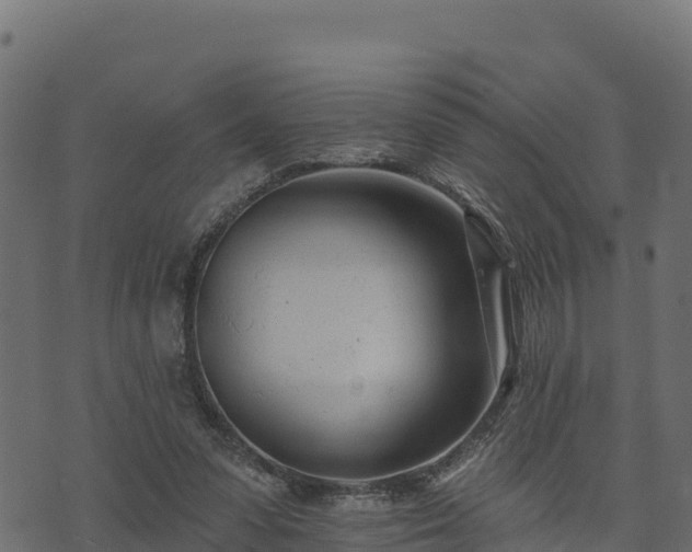 X0000073930303200608181121