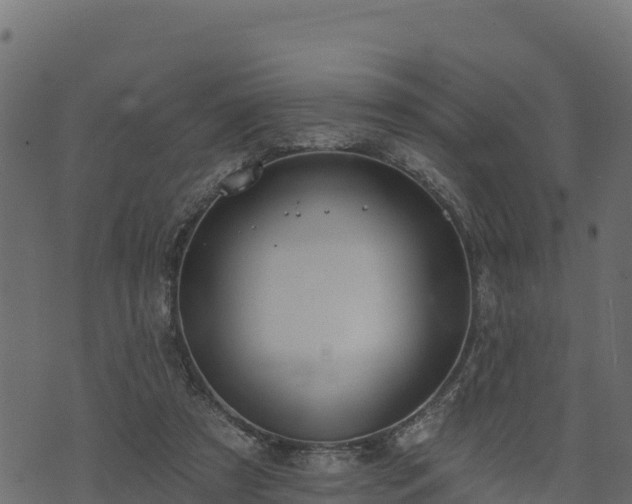 X0000073930305200608181121