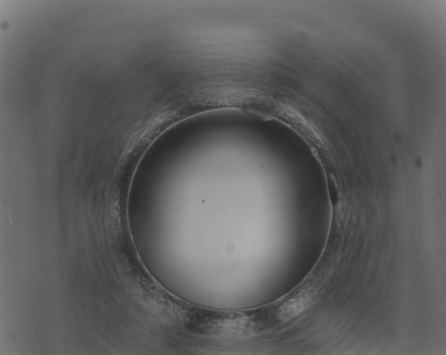 X0000073930306200608181121