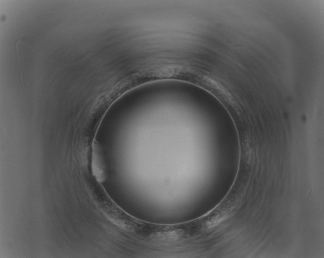 X0000073930307200608181121