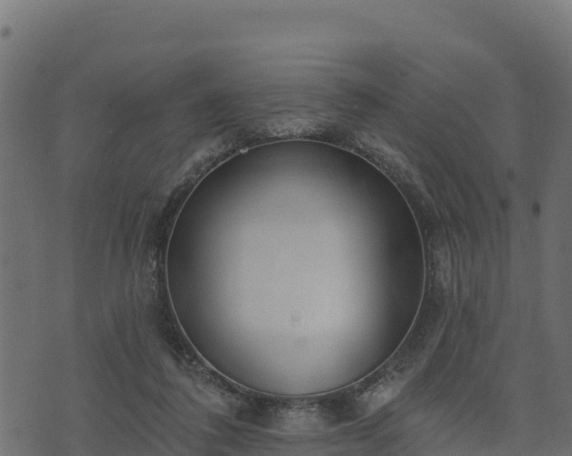 X0000073930308200608181121