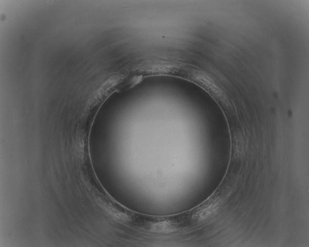 X0000073930309200608181121