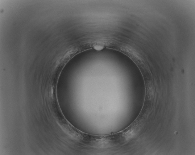 X0000073930310200608181121