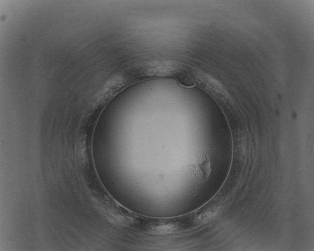 X0000073930312200608181121