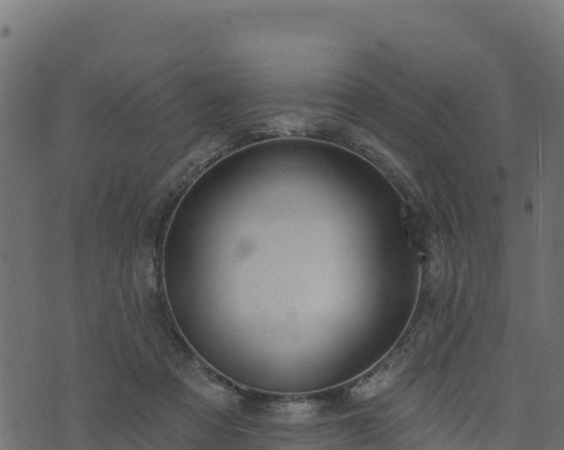 X0000073930313200608181121