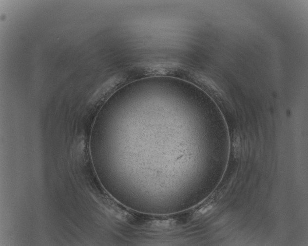 X0000073930314200608181121