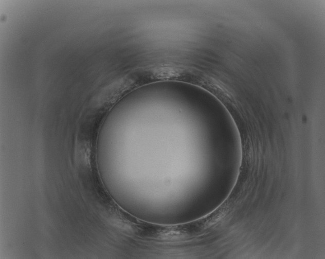 X0000073930315200608181121