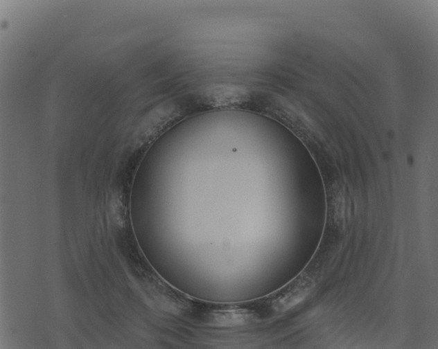 X0000073930316200608181121