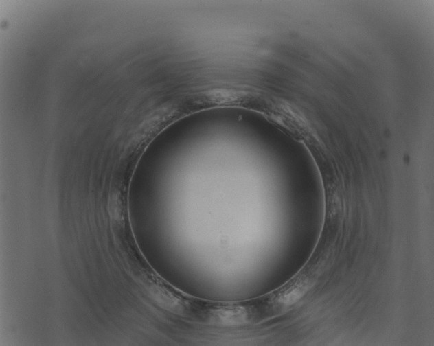 X0000073930317200608181121