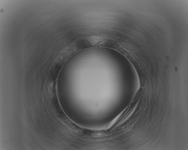 X0000073930319200608181121