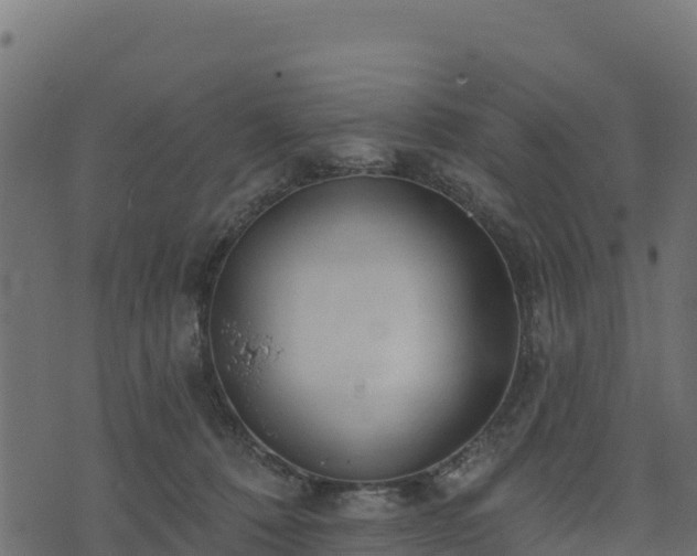 X0000073930320200608181121