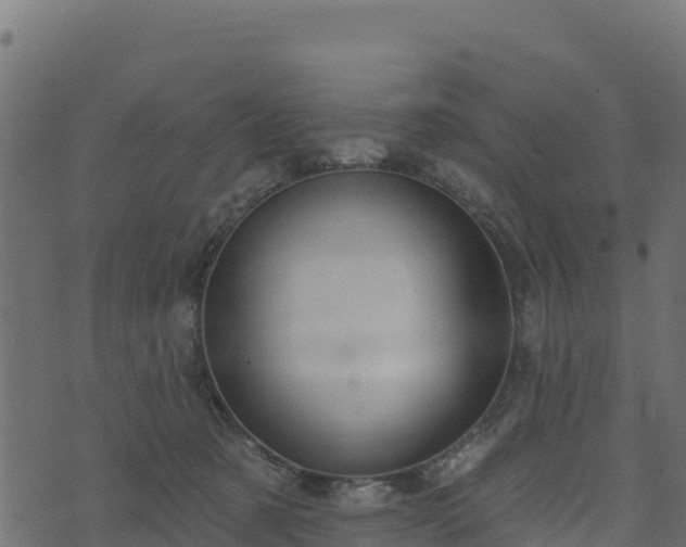 X0000073930321200608181121