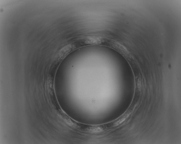 X0000073930322200608181121