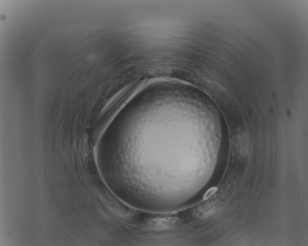 X0000073930323200608181121