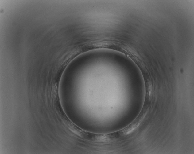 X0000073930325200608181121