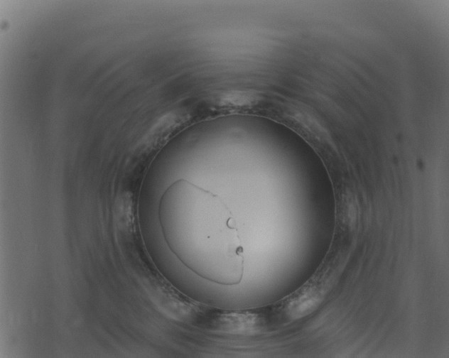 X0000073930328200608181121