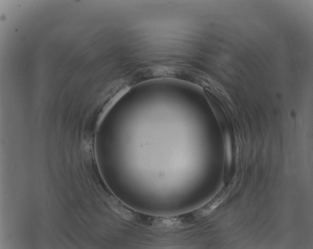 X0000073930329200608181121